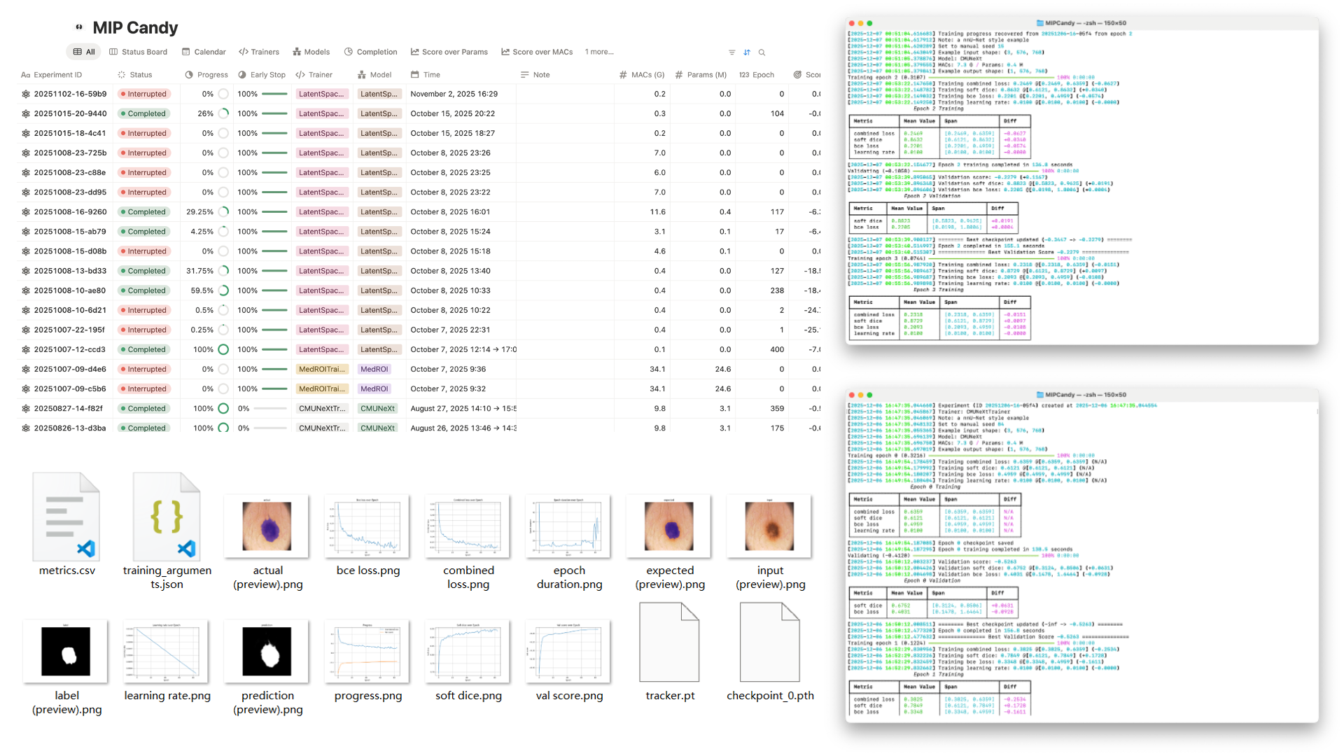 MIP Candy overview poster
